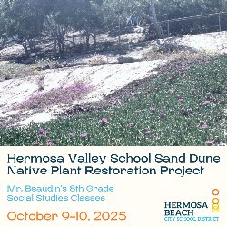 Hermosa Valley School Sand Dune Native Plant Restoration Project - Mr. Beaudin's 8th Grade Social Studies Classes - October 9-10, 2025